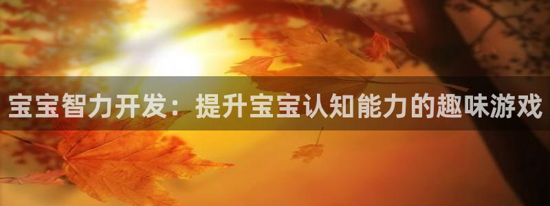 沐鸣2选 37OO735：宝宝智力开发：提升宝宝认知能力的趣味游戏