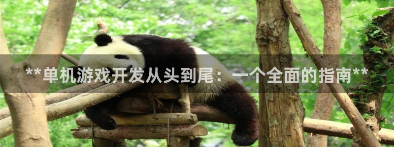 沐鸣娱乐2官方平台是什么：**单机游戏开发从头到尾：一个全面的指南**
