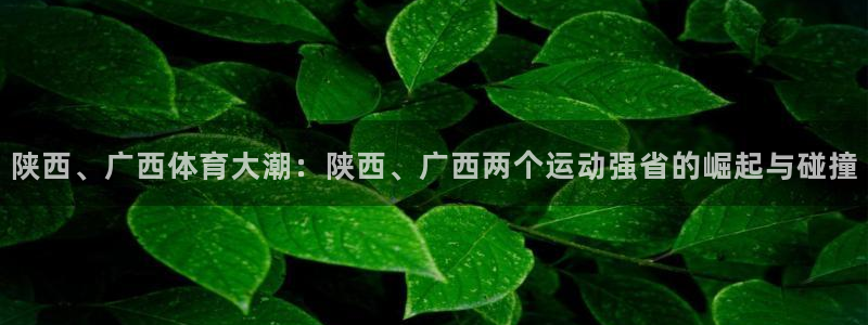 77体育官网：陕西、广西体育大潮：陕西、广西两个运动强省的崛起与碰撞