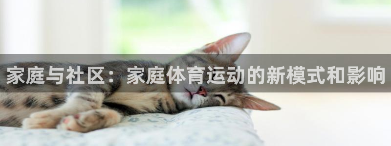 77体育：家庭与社区：家庭体育运动的新模式和影响