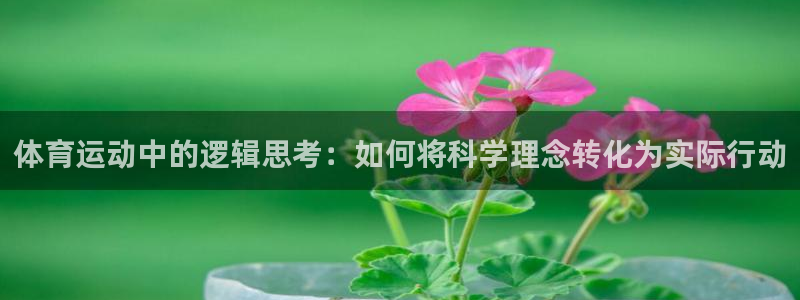 77体育：体育运动中的逻辑思考：如何将科学理念转化为实际行动