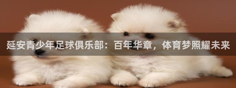 77体育app下载官网：延安青少年足球俱乐部：百年华章，体育梦照耀未来