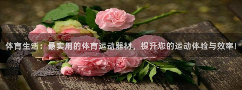 77体育：体育生活：最实用的体育运动器材，提升您的运动体验与效率!