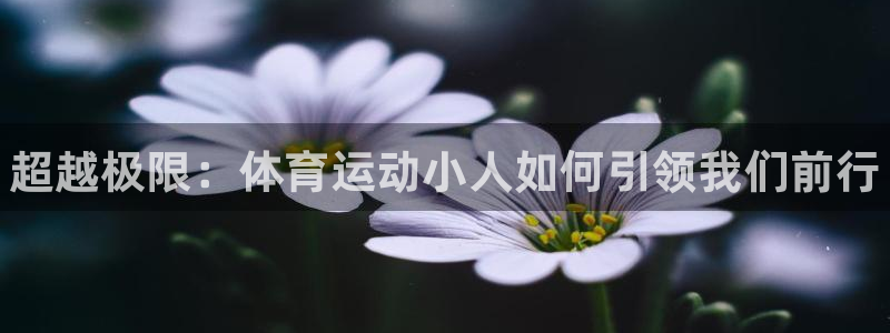 77体育：超越极限：体育运动小人如何引领我们前行