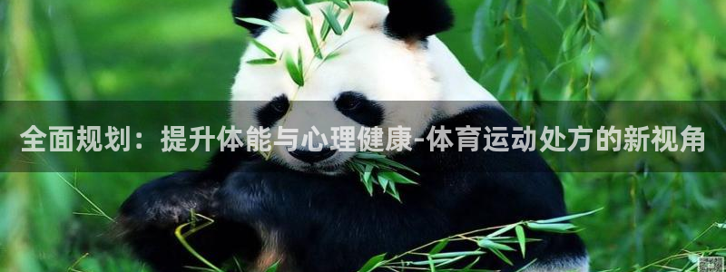 77体育app下载官网：全面规划：提升体能与心理健康-体育运动处方的新视角