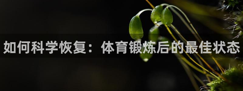 77体育app下载官网：如何科学恢复：体育锻炼后的最佳状态