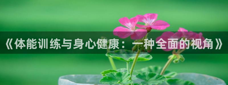 77体育：《体能训练与身心健康：一种全面的视角》