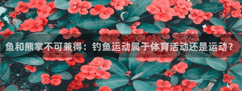 77体育app下载官网：鱼和熊掌不可兼得：钓鱼运动属于体育活动还是运动？