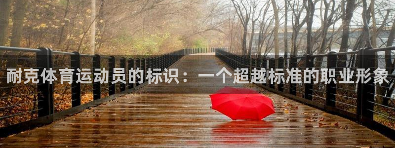 77体育：耐克体育运动员的标识：一个超越标准的职业形象