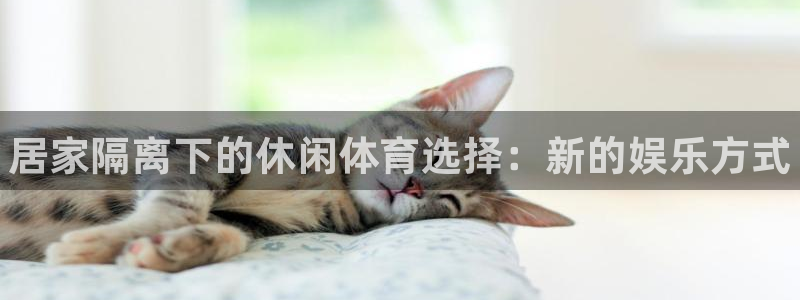 77体育官网：居家隔离下的休闲体育选择：新的娱乐方式