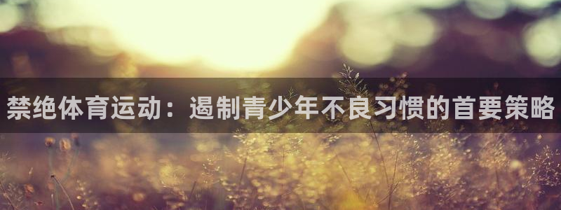 77体育app下载官网：禁绝体育运动：遏制青少年不良习惯的首要策略