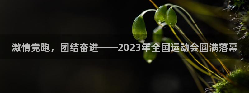 77体育官网：激情竞跑，团结奋进——2023年全国运动会圆满落幕