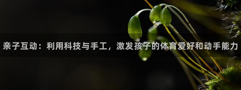 77体育：亲子互动：利用科技与手工，激发孩子的体育爱好和动手能力