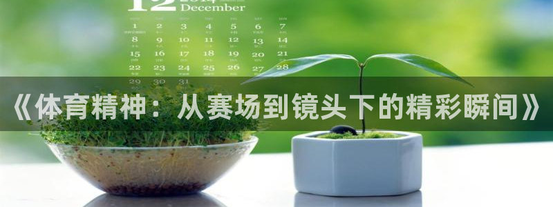 77体育app下载官网：《体育精神：从赛场到镜头下的精彩瞬间》