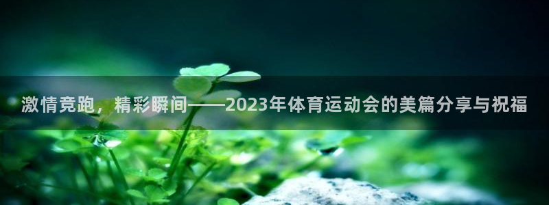 皇冠277体育：激情竞跑，精彩瞬间——2023年体育运动会的美篇分享与祝福