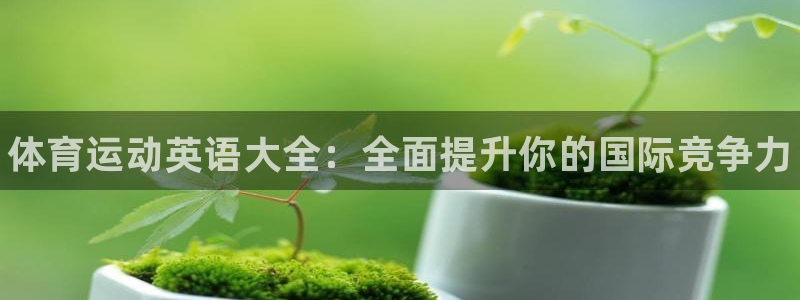 皇冠277体育：体育运动英语大全：全面提升你的国际竞争力