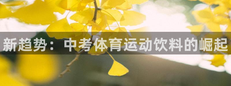 77体育官网