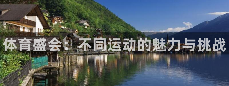 77体育官网