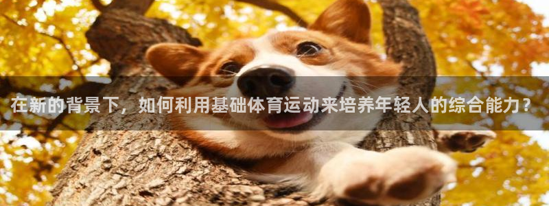77体育官网：在新的背景下，如何利用基础体育运动来培养年轻人的综合能力？