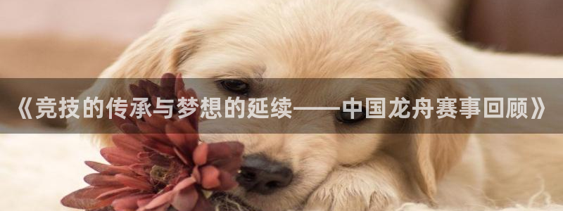 77体育官网：《竞技的传承与梦想的延续——中国龙舟赛事回顾》