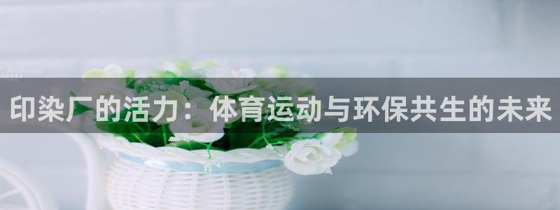 77体育：印染厂的活力：体育运动与环保共生的未来