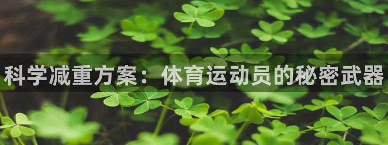 77体育官网