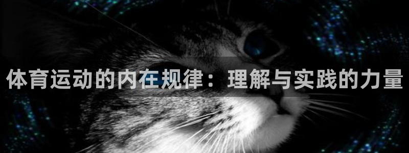 77体育官网：体育运动的内在规律：理解与实践的力量