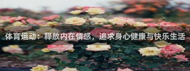 77体育：体育运动：释放内在情感，追求身心健康与快乐生活