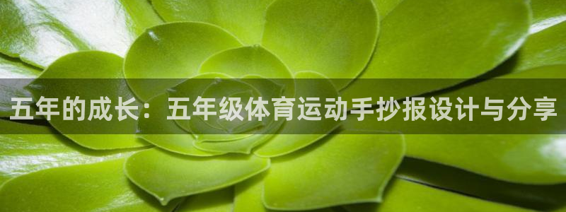 皇冠277体育：五年的成长：五年级体育运动手抄报设计与分享