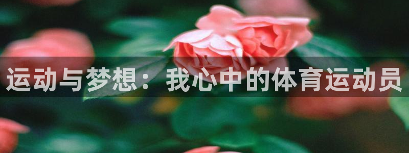 77体育官网：运动与梦想：我心中的体育运动员