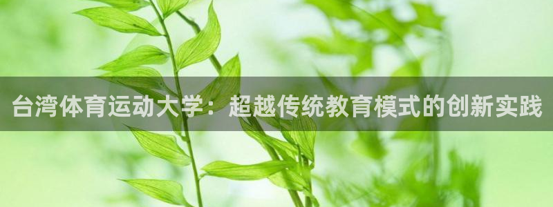 77体育app下载官网：台湾体育运动大学：超越传统教育模式的创新实践