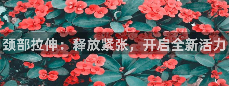 77体育官网：颈部拉伸：释放紧张，开启全新活力
