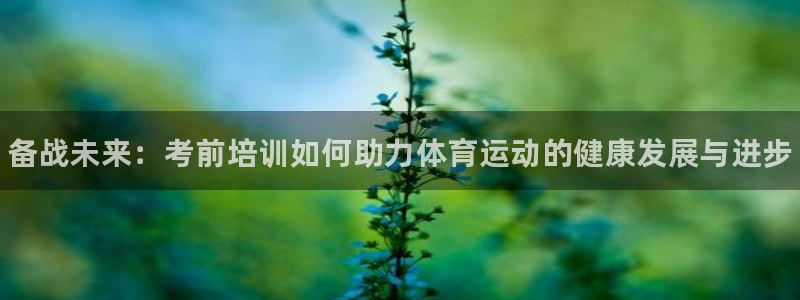 皇冠277体育：备战未来：考前培训如何助力体育运动的健康发展与进步