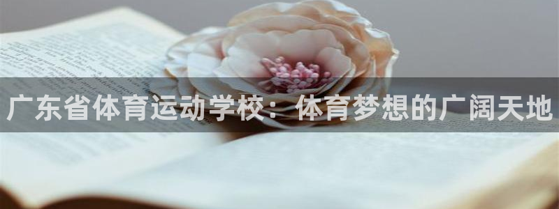 77体育官网：广东省体育运动学校：体育梦想的广阔天地
