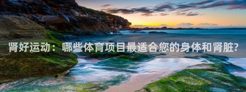 77体育官网：肾好运动：哪些体育项目最适合您的身体和肾脏?