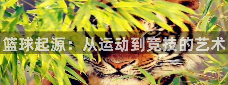 皇冠277体育：篮球起源：从运动到竞技的艺术